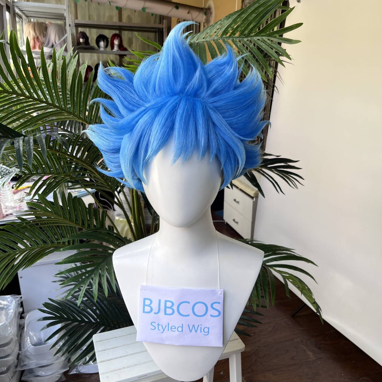 [Styled Wig]Ortho Cosplay Wig  - đánh giá và giá Men Accessories Style