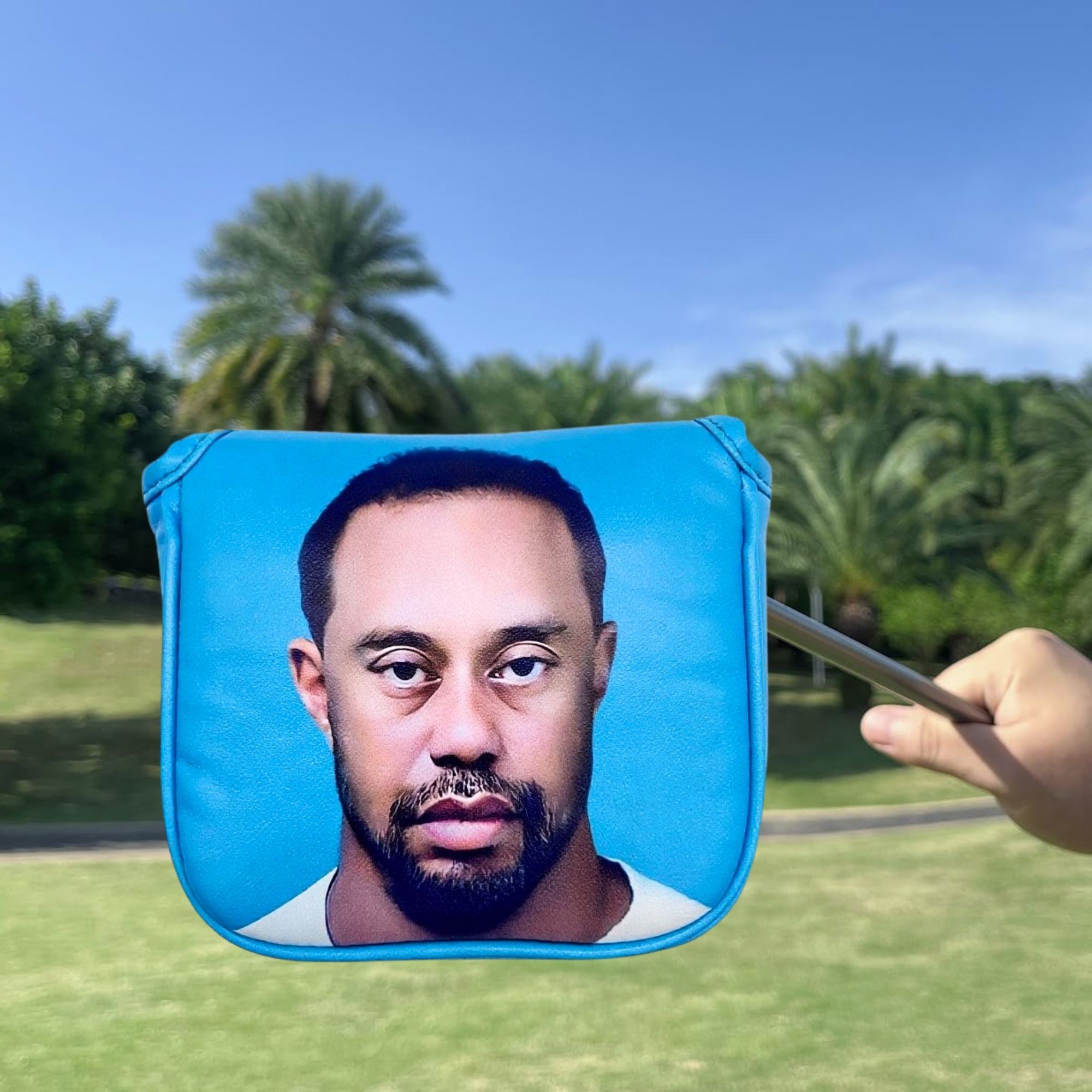 Funny Golf Mallet Putter Head  - đánh giá và giá Men'S Mens Accessories